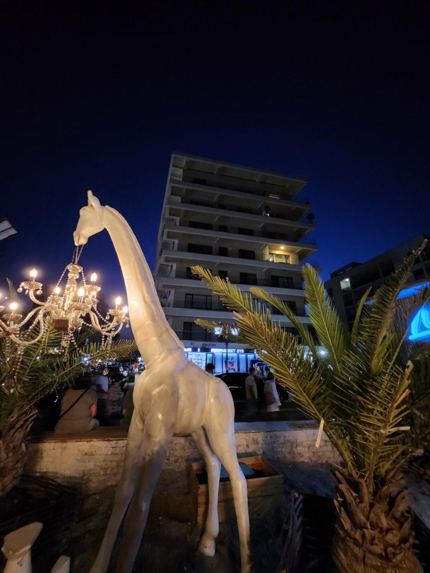 Seaside Amalia Apartament Năvodari Exteriér fotografie